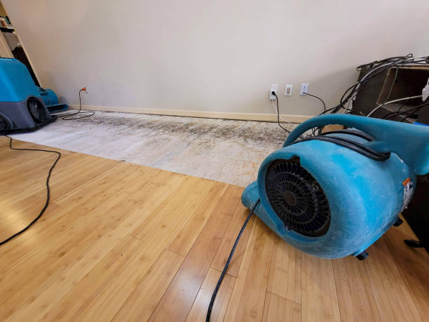Professional Basement Flood Cleanup technician working in Wilton, CT